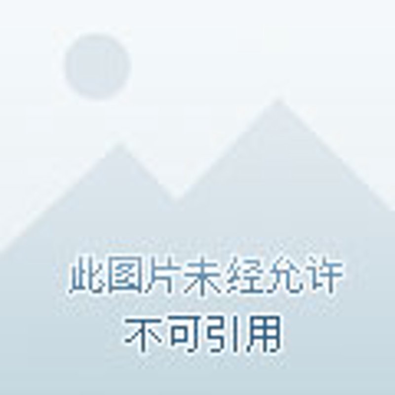 保理业务