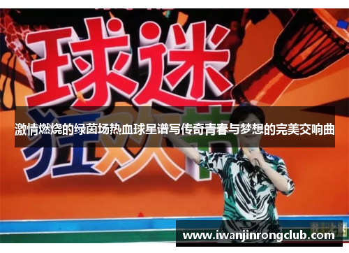 激情燃烧的绿茵场热血球星谱写传奇青春与梦想的完美交响曲